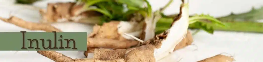 Was ist Inulin? Eat to Fit Blog