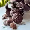Frohes Fest Mix 375g Lebkuchen Vanille Brut