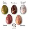 Eggstra Sweet - Ostereier Box 2er