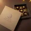 Dubai Fest ist die festliche Weihnachtsedition unseres beliebten Dubai Dubity Pralinés – mit feinem Pistaziennougat, umhüllt von 65 % dunkler Schokolade und dekoriert mit goldenen Kadayif-Flocken